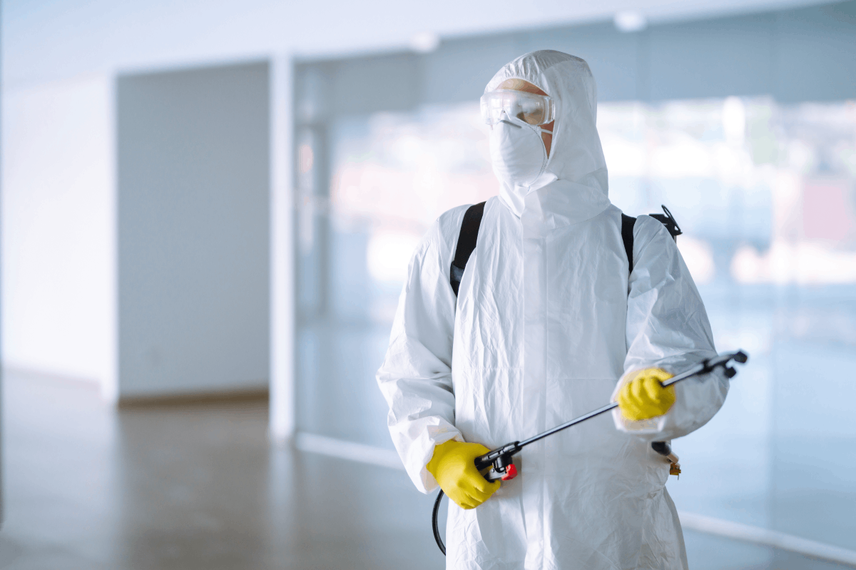 From Infested to Pest-Free: How Hawx Solved Our Problem